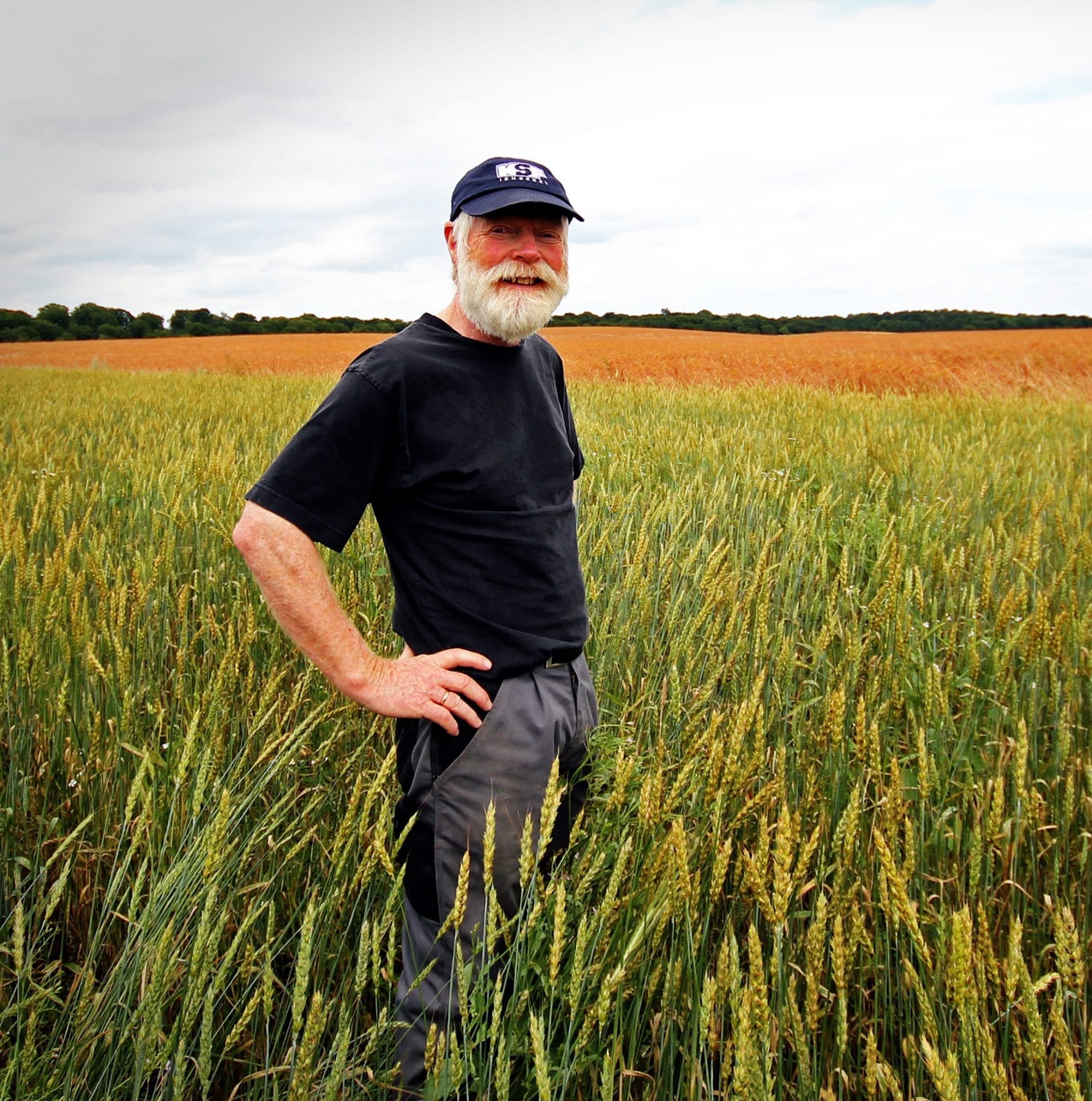 ALPHA Containers - lej eller køb en container - hurtig levering